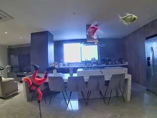 voyeurcam-casa-salsa-fishtank