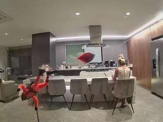 voyeurcam-casa-salsa-fishtank
