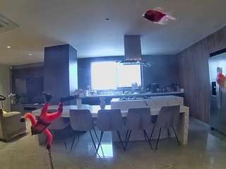 voyeurcam-casa-salsa-fishtank