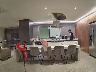 voyeurcam-casa-salsa-fishtank