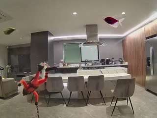 voyeurcam-casa-salsa-fishtank