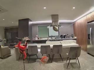 voyeurcam-casa-salsa-fishtank