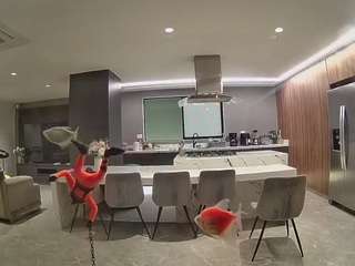voyeurcam-casa-salsa-fishtank