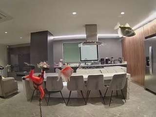 voyeurcam-casa-salsa-fishtank