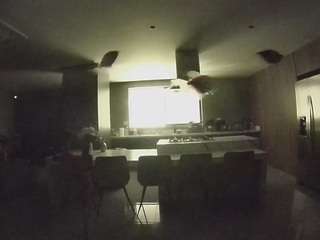 voyeurcam-casa-salsa-fishtank