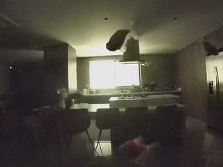 voyeurcam-casa-salsa-fishtank