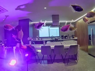 voyeurcam-casa-salsa-fishtank