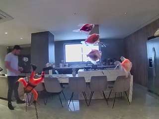 voyeurcam-casa-salsa-fishtank