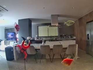 voyeurcam-casa-salsa-fishtank