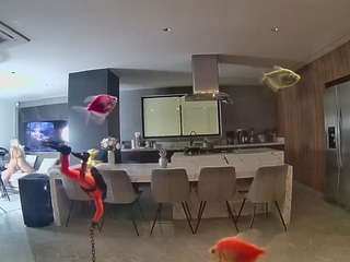 voyeurcam-casa-salsa-fishtank