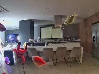 voyeurcam-casa-salsa-fishtank