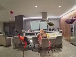 voyeurcam-casa-salsa-fishtank
