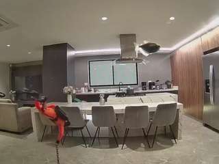 voyeurcam-casa-salsa-fishtank