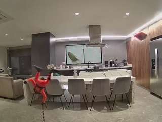 voyeurcam-casa-salsa-fishtank