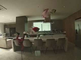 voyeurcam-casa-salsa-fishtank