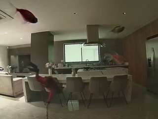 voyeurcam-casa-salsa-fishtank