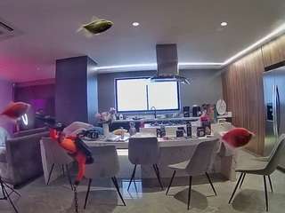 voyeurcam-casa-salsa-fishtank