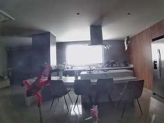voyeurcam-casa-salsa-fishtank