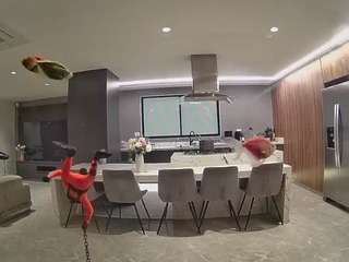 voyeurcam-casa-salsa-fishtank