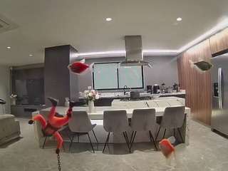 voyeurcam-casa-salsa-fishtank