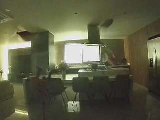 voyeurcam-casa-salsa-fishtank