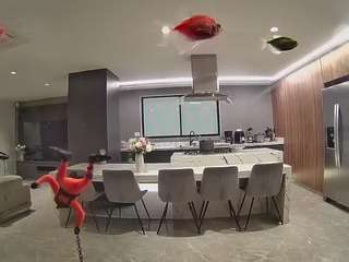 voyeurcam-casa-salsa-fishtank
