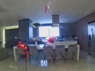 voyeurcam-casa-salsa-fishtank webcam model