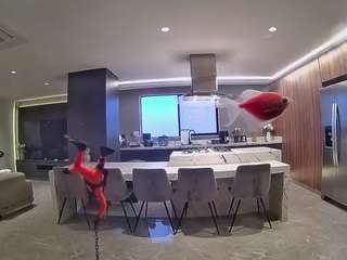voyeurcam-casa-salsa-fishtank