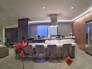 voyeurcam-casa-salsa-fishtank
