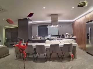 voyeurcam-casa-salsa-fishtank