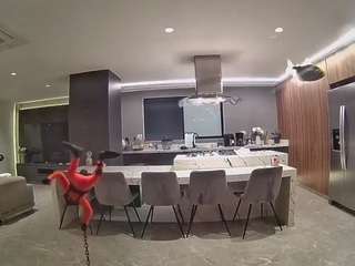 voyeurcam-casa-salsa-fishtank