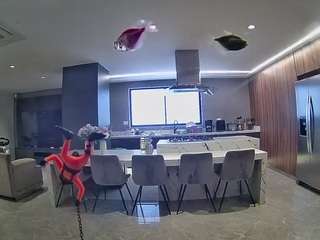 voyeurcam-casa-salsa-fishtank