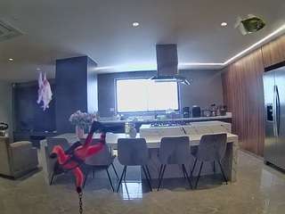 voyeurcam-casa-salsa-fishtank