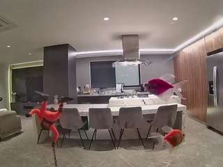 voyeurcam-casa-salsa-fishtank