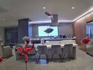 voyeurcam-casa-salsa-fishtank