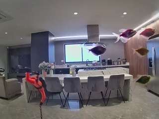 voyeurcam-casa-salsa-fishtank