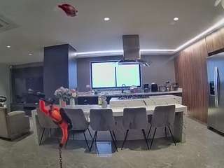 voyeurcam-casa-salsa-fishtank