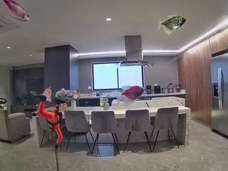 voyeurcam-casa-salsa-fishtank