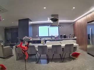 voyeurcam-casa-salsa-fishtank