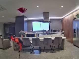 voyeurcam-casa-salsa-fishtank