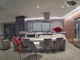 voyeurcam-casa-salsa-fishtank