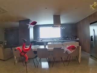 voyeurcam-casa-salsa-fishtank