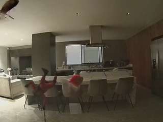 voyeurcam-casa-salsa-fishtank