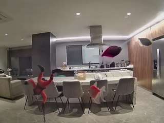 voyeurcam-casa-salsa-fishtank
