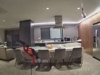 voyeurcam-casa-salsa-fishtank