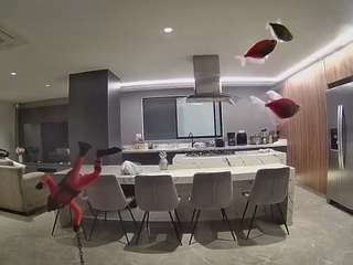 voyeurcam-casa-salsa-fishtank