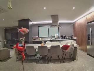 voyeurcam-casa-salsa-fishtank