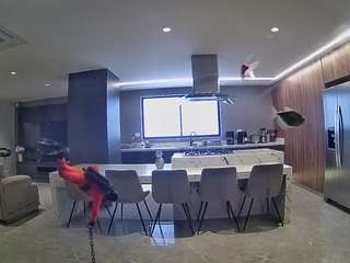 voyeurcam-casa-s... Live Webcam on CamSoda