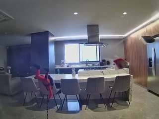 voyeurcam-casa-salsa-fishtank
