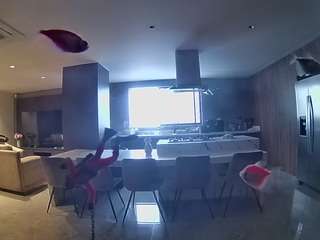 voyeurcam-casa-salsa-fishtank